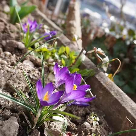 Casa Laendli بيت للعطل