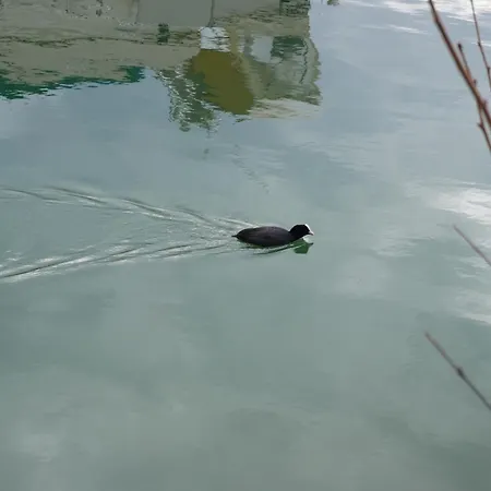 Casa Laendli بيت للعطل غرنزاش ويلن